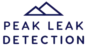 Peak Leak Detection png-1@2x_result