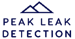 Peak Leak Detection png