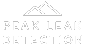Peak Leak Detection png